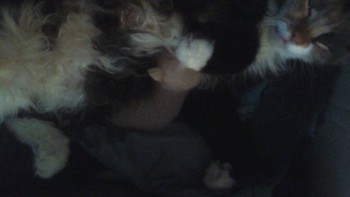 День за днем - 1427545691066.jpg