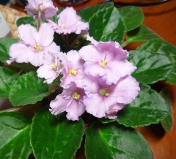 После меня человек, который... - DSC03614.JPG