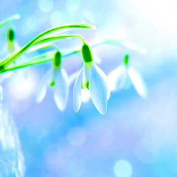 Посвящаем картинку - _sPNE0Y2PIs.jpg