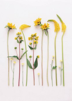 Посвящаем картинку - FD197.JPG