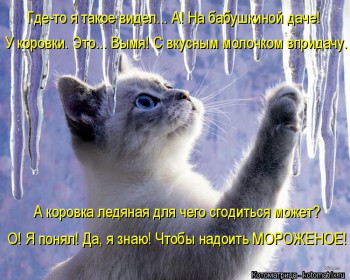 Смешные картинки про котов - kotomatritsa_6v.jpg