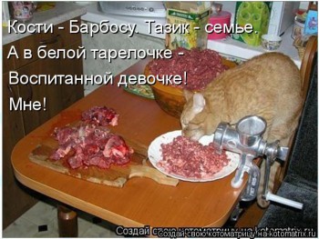 Смешные картинки про котов - kotomatritsa_7W.jpg