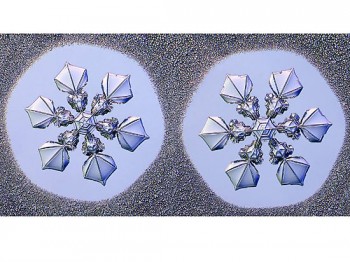 Изобретательство - 669073115_6866481.jpg