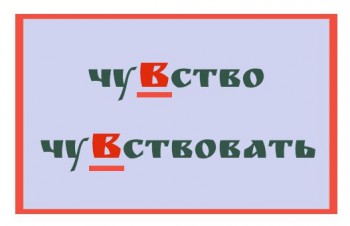 Правила по математике , русскому языку и другим предметам . - VfwzcQCFSEQ.jpg