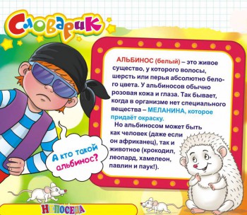 Природа вокруг нас - Pjq47rdXcng.jpg