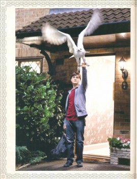  Гарри Поттер  - Гарри Поттер с Буклей.jpg