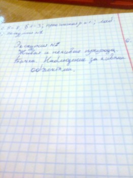 Смешные истории - Фото1149.jpg