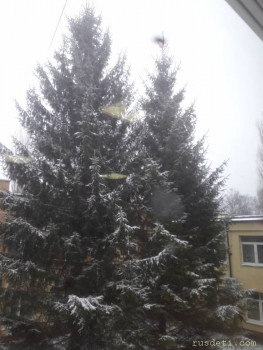 Вид из школы